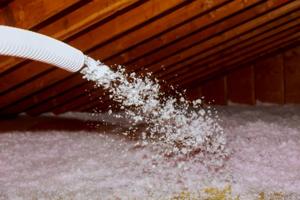 Best Fiberglass Insulation  in Maysville, OK