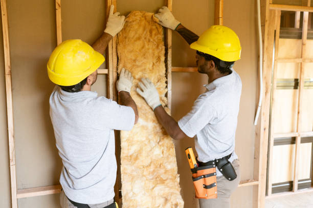 Best Local Insulation Services  in Maysville, OK