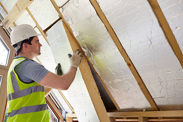 Best Cellulose Insulation  in Maysville, OK