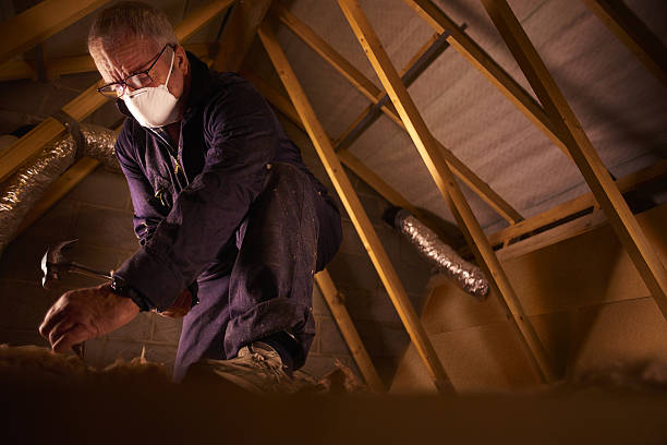 Best Insulation Removal  in Maysville, OK
